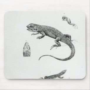 Mousepad Iguana Shingled