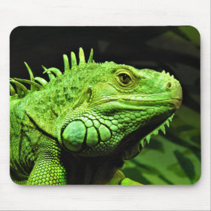 Mousepad Iguana verde