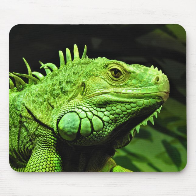 Mousepad Iguana verde (Frente)