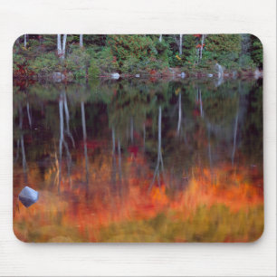 Mousepad Ilha do Deserto de Mt. Parque Nacional de Acadia