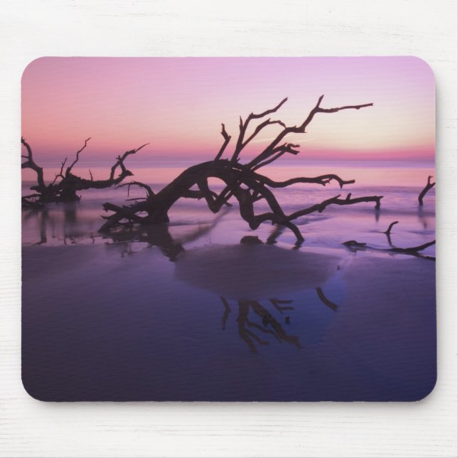 Mousepad Ilha GA Jekyll, Cemitério de árvores na praia em (Frente)