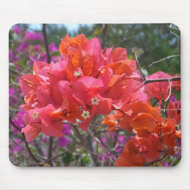 Mousepad Ilha Tropical Rosa Bougainvillea Floral (Frente)