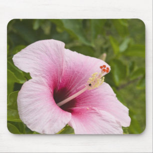 Mousepad Ilhas Cook, Atiu. Flor de hibisco.