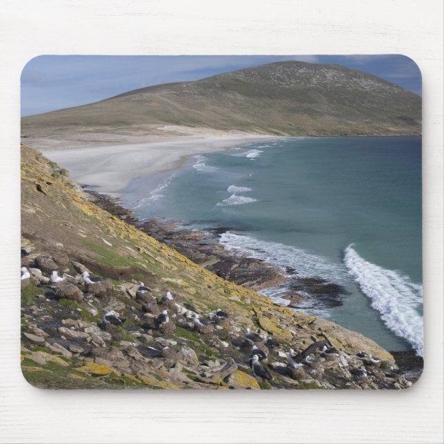 Mousepad Ilhas Falkland, West Falkland, Saunders (Frente)