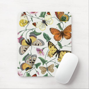 Mousepad Ilustração Bonito de Vitrine de Borboleta do Mouse