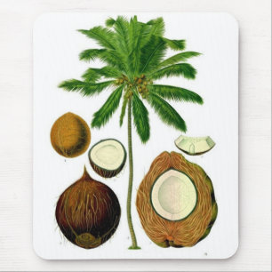 Mousepad Ilustração botânica da árvore de coco