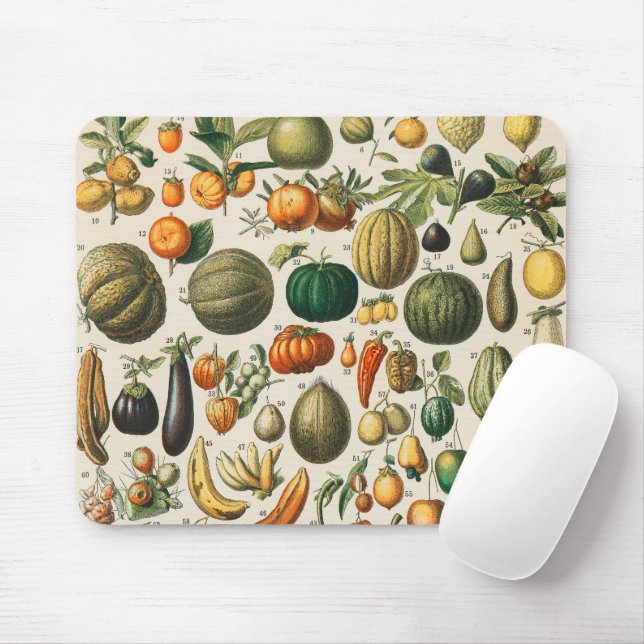 Mousepad Ilustração Científica Botânica Vegetal fruta (Com mouse)