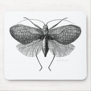 Mousepad ilustração científica da traça