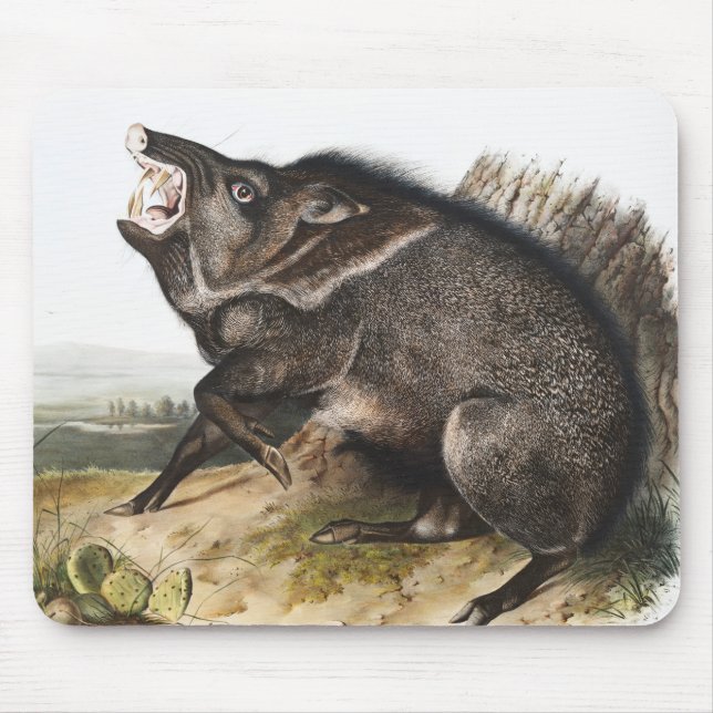 Mousepad Ilustração Collared Peccary Dycoteles torquatus (Frente)