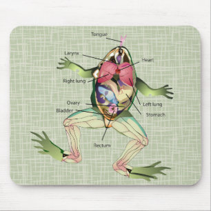Mousepad Ilustração da Anatomia do Sapo