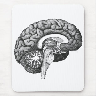 Mousepad Ilustração da anatomia médica da Vintage no cérebr