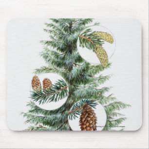 Mousepad Ilustração da árvore conífera com cones