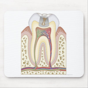 Mousepad Ilustração da deterioração de dente