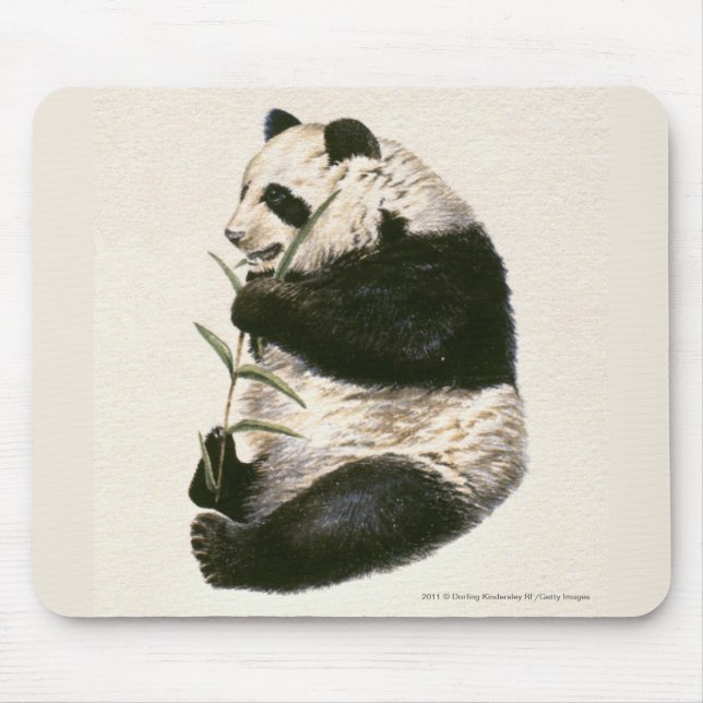 Mousepad Ilustração da panda gigante que alimenta no bambu (Frente)