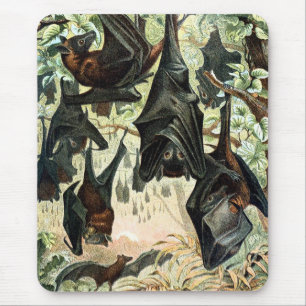 Mousepad Ilustração de acadamia de morcegos de raposa voado