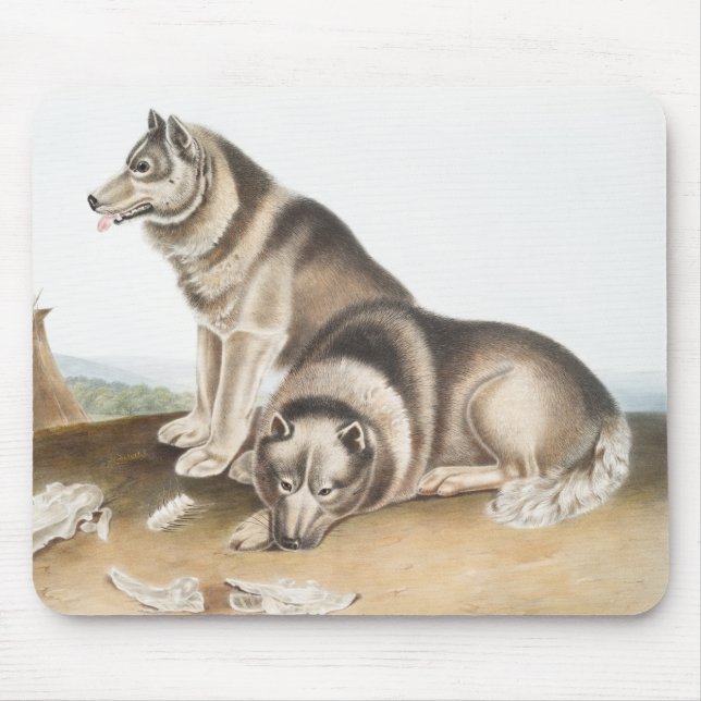 Mousepad Ilustração de Cão Esquimaux (Canis familiaris) (Frente)