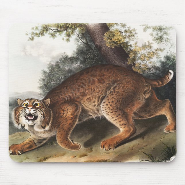 Mousepad Ilustração de gato selvagem americano (Lynx rufus) (Frente)