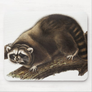 Mousepad Ilustração de racum (rotor de prótons)