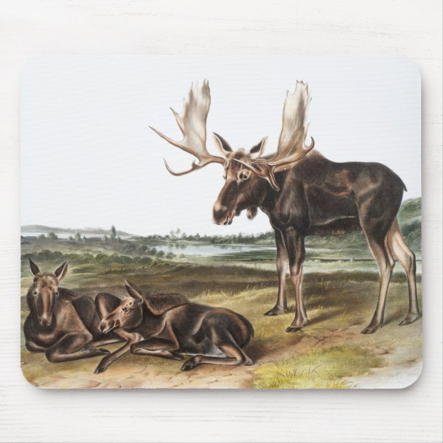 Mousepad Ilustração de veado de alces servo (Frente)