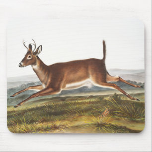 Mousepad Ilustração de Veado Longo (Cervus leucurus)