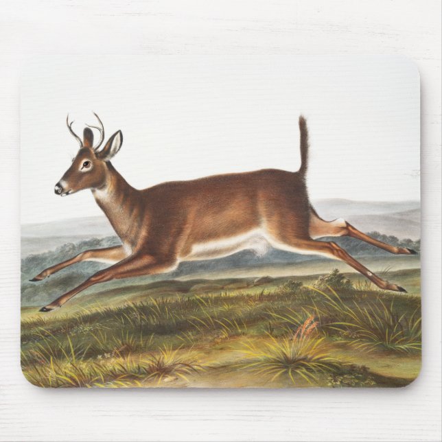 Mousepad Ilustração de Veado Longo (Cervus leucurus) (Frente)