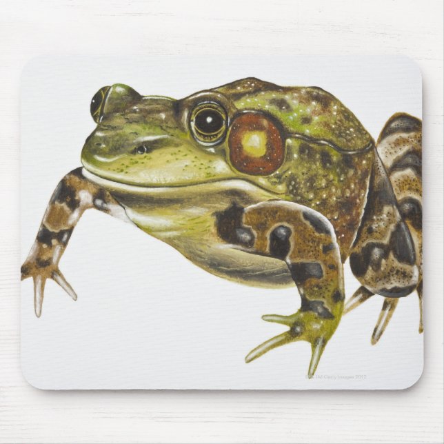 Mousepad Ilustração digital do Sapo Verde (Frente)