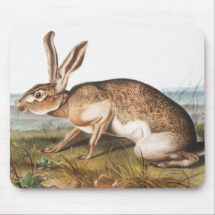 Mousepad Ilustração do Coelho da Lepus Texianus