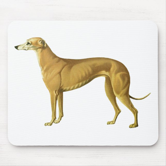 Mousepad Ilustração do galgo do vintage (Frente)