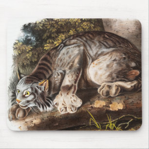 Mousepad Ilustração do Lynx (Lynx Canadensis) do Canadá