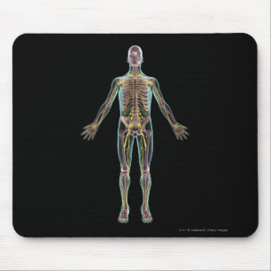 Mousepad Ilustração do sistema nervoso