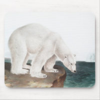 Ilustração do Urso Polar (Ursus maritimus)