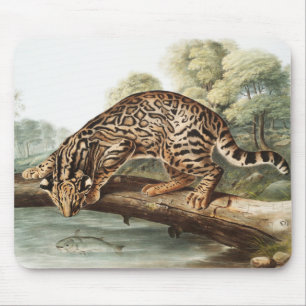 Mousepad Ilustração Ocelot, Gato-Leopardo (Felis pardalis)