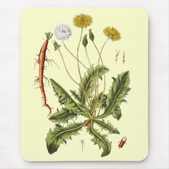 Mousepad Ilustração Vintage de Dente-de-Leão (Frente)