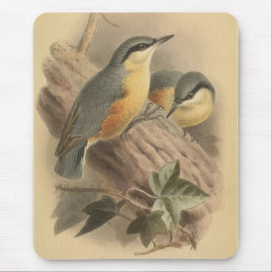Mousepad Ilustração Vintage de Nuthatch