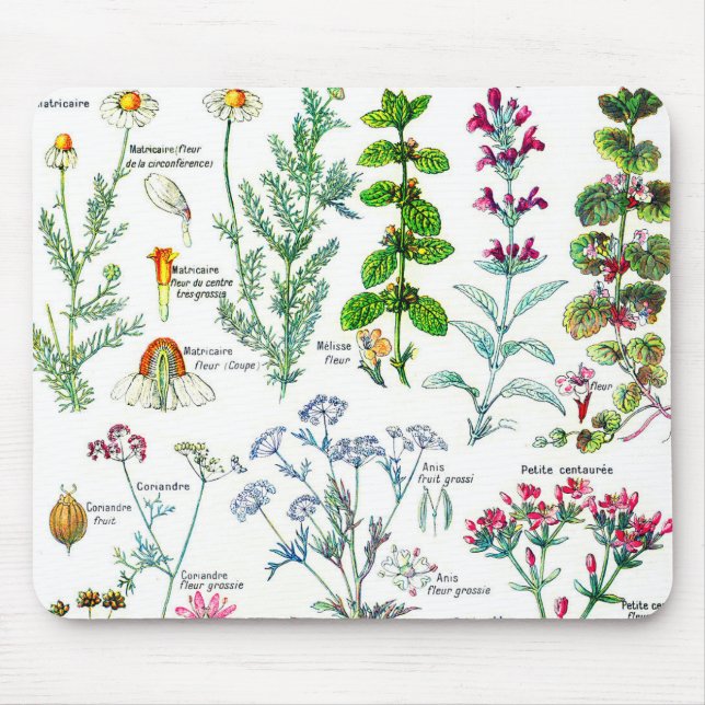 Mousepad Ilustrações botânicas - plantas de Larousse (Frente)