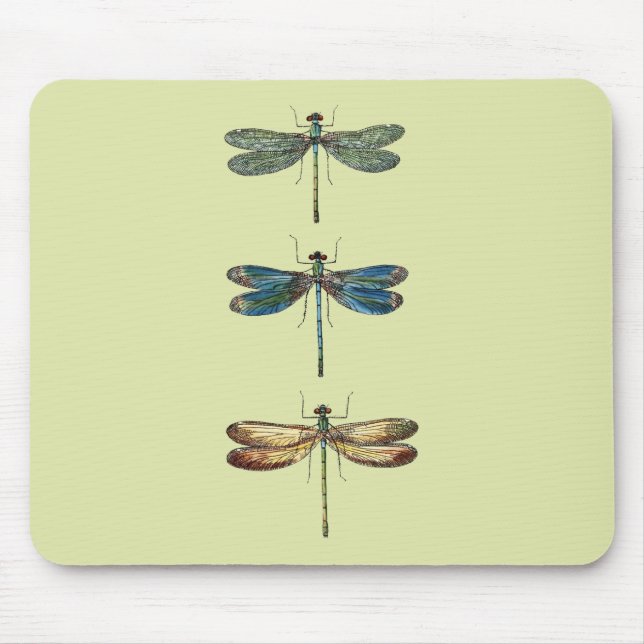 Mousepad Ilustrações da libélula (Frente)