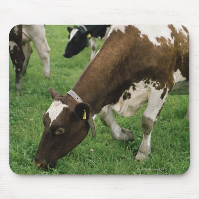 Mousepad ima28991 (Frente)