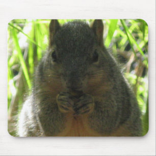 Mousepad Imagem bonito de um esquilo pequeno que come uma