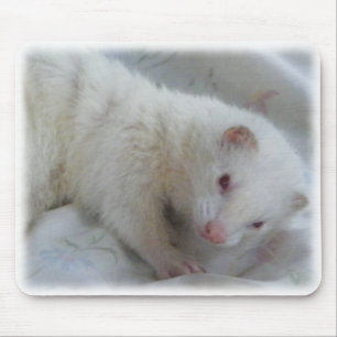Mousepad Imagem da doninha do albino