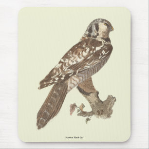 Mousepad Imagem de aves do Norte Hawk Owl (Surnia ulula)