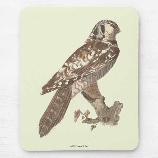Mousepad Imagem de aves do Norte Hawk Owl (Surnia ulula) (Frente)