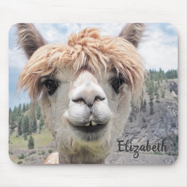 Mousepad Imagem de Foto do Alpaca com Sorriso Bastante (Frente)
