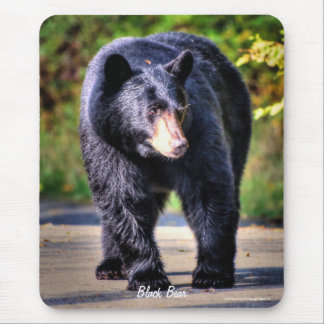Mousepad Imagem de vida selvagem do urso preto caminhante p