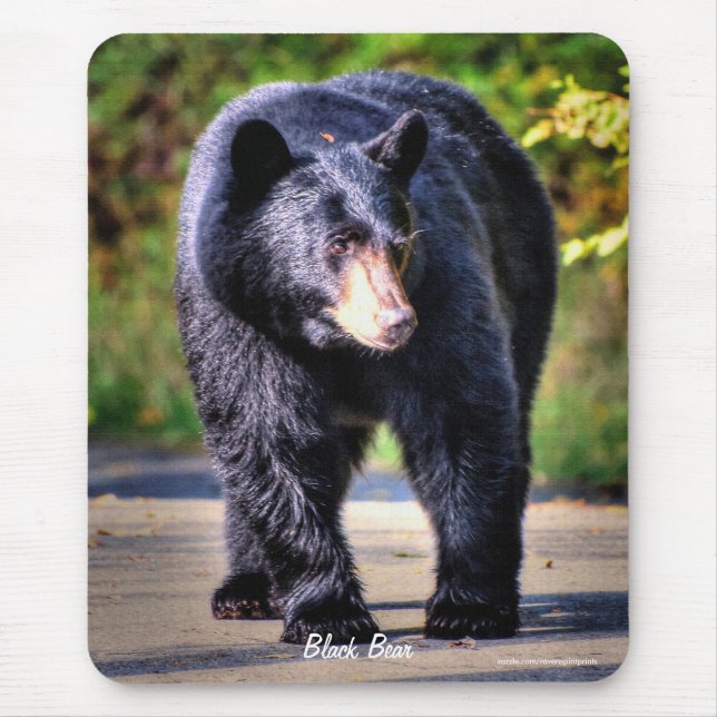 Mousepad Imagem de vida selvagem do urso preto caminhante p (Frente)