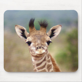 Mousepad Imagem do girafa do bebê, Kenya, África |