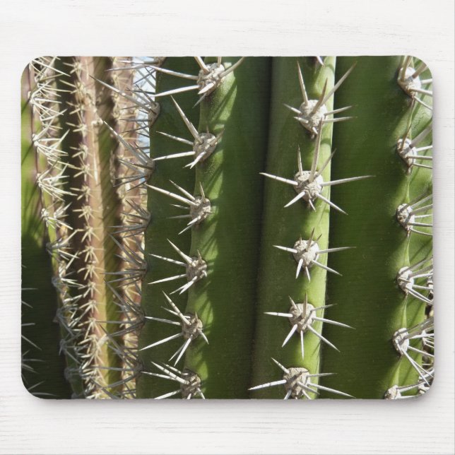 Mousepad Imagem natural do deserto Barrel Cactus II (Frente)