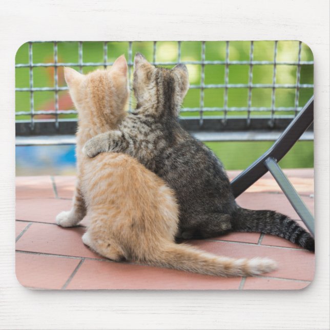 Mousepad Imagens de Getty | dois gatinhos em um balcão (Frente)