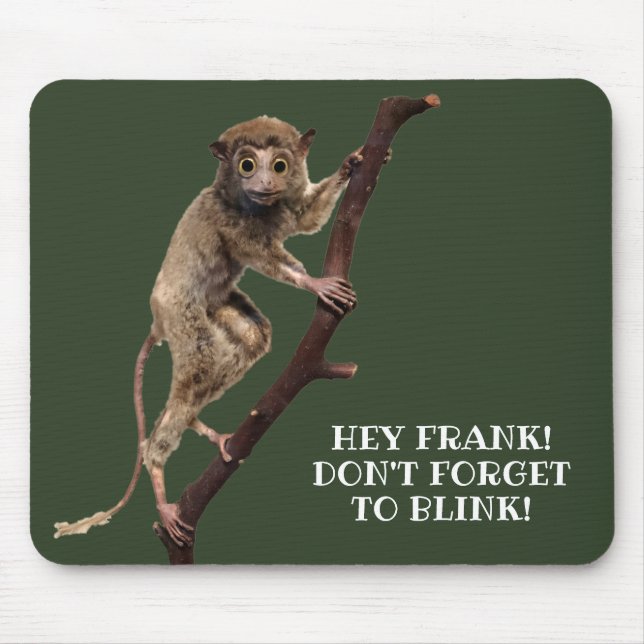 Mousepad Imaginário Estranho Taxidermy Mackey Lemur Primate (Frente)