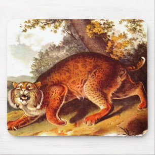 Mousepad imbecil assustador