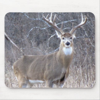 MOUSEPAD IMG_0327